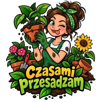 Zaprojektowane w Vizulai